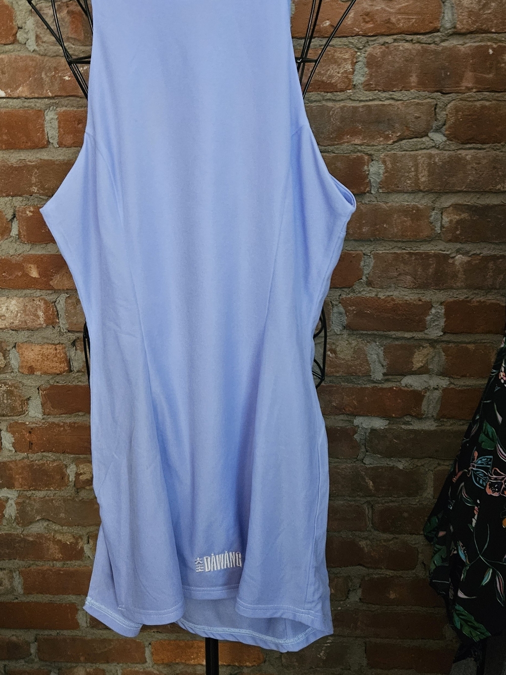 Light Blue Sleeveless  Mini Dress W Chinese Knot &  Butterfly Detailing